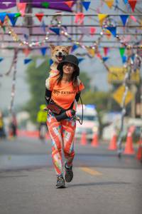 BIB: 
                            <button type="button" onclick="openModal(10334019)" class="btn btn-primary btn-sm float-right btn-popup" data-toggle="modal" data-target=".modal-high-quality">
                        <i class="fas fa-shopping-cart"></i> Add to Cart
                    </button>
                                            <button type="button" onclick="isThisMe(10334019, true)" class="btn btn-success btn-sm float-right btn-popup btn-isme hidden" data-toggle="tooltip" data-placement="bottom" title="นี่คือรูปของคุณใช่ไหม คลิกที่นี่เพื่อเอาเข้าอัลบั้ม">
                        <i class="fas fa-plus"></i> Add to album
                    </button>
                    <button type="button" onclick="isThisMe(10334019, false)" class="btn btn-warning btn-sm float-right btn-popup btn-isnotme hidden">
                        <i class="fas fa-ban"></i> Remove from album
                    </button>